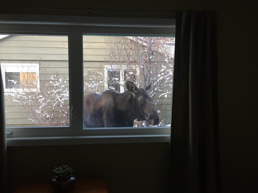 Turnagain Guest House 安克拉治 外观 照片